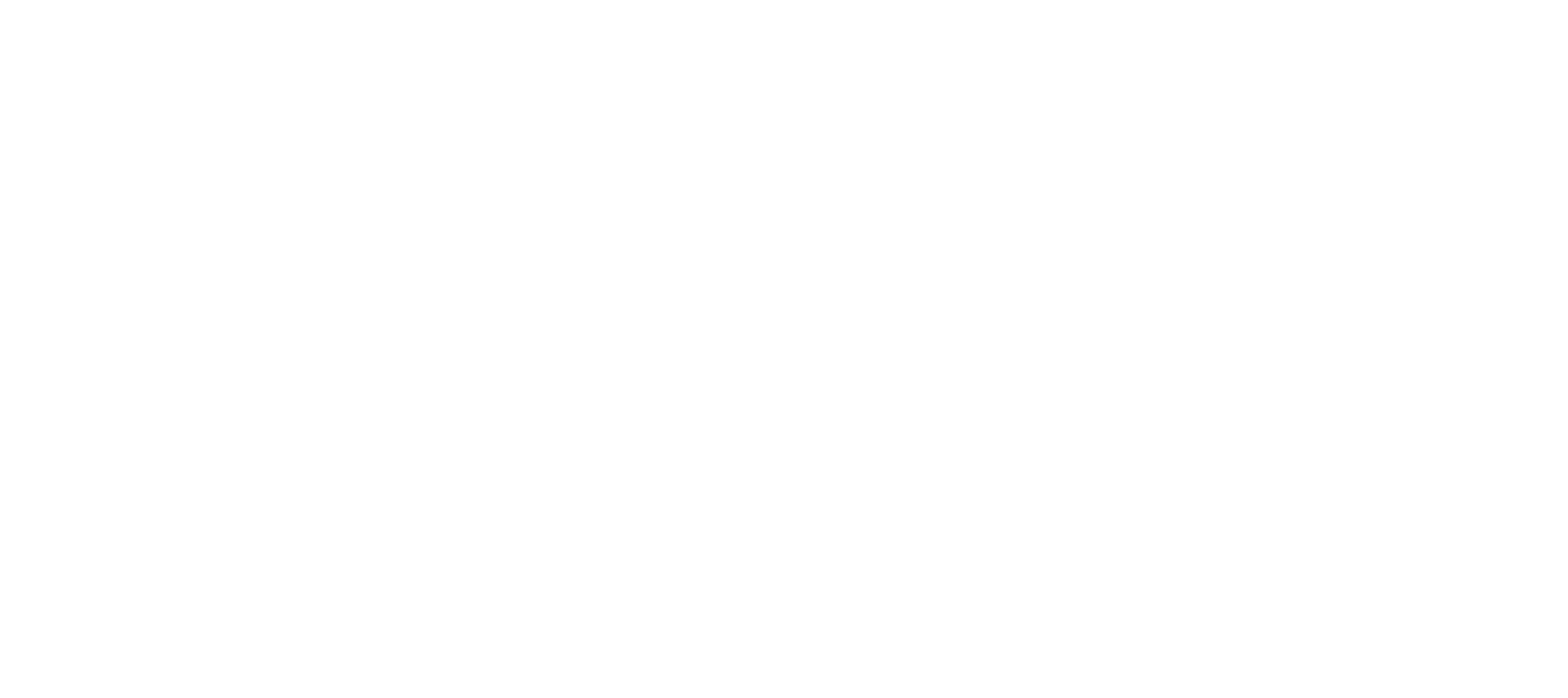 Promo Only brand mark